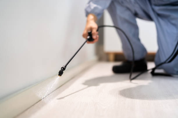 Professional exterminator conducting IPM assessment in Legend Lake